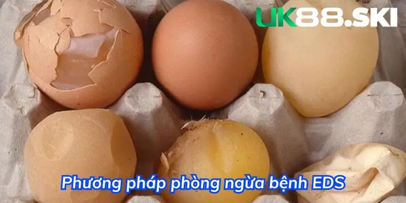 Một số cách phòng ngừa hữu hiệu dành cho người nuôi