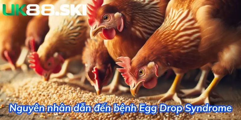 Nguyên nhân dẫn đến bệnh Egg Drop Syndrome