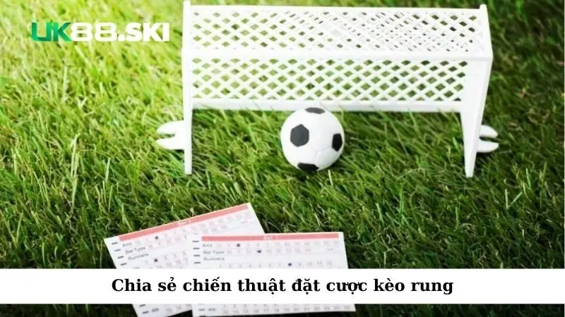 Chia sẻ chiến thuật đặt cược kèo rung
